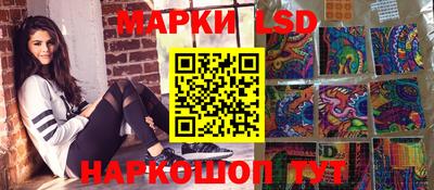 мдпв Камышлов