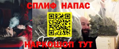 мдпв Камышлов