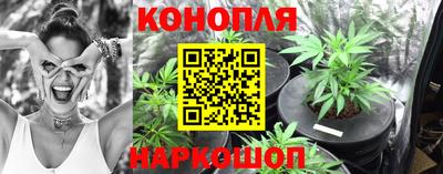 мдпв Камышлов