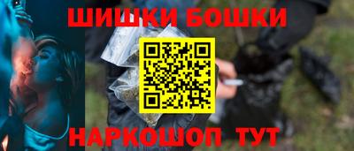мдпв Камышлов
