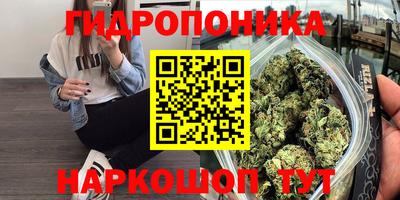 винт Кандалакша