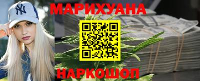 мдпв Камышлов